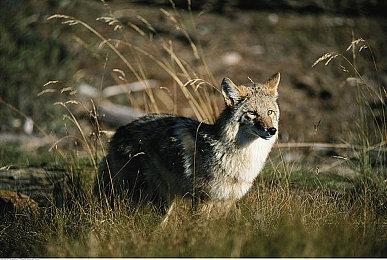 科隆：FPS《星际海盗》抢先体验10月推出