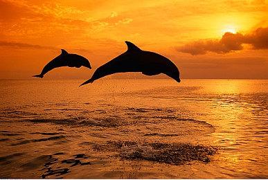 《英灵神殿》“迷雾之地”动画宣传片 新增魔法系统