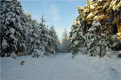 《星球大战绝地：陨落的武士团》Steam新史低：39.6元